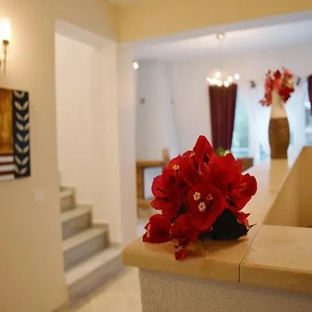 Villa Louloutos *