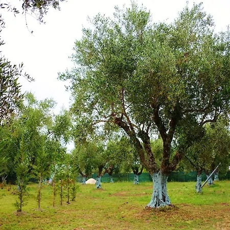 Villa Louloutos *